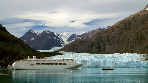 Zwaar vervuilende scheepvaart akkoord met halvering CO2-uitstoot