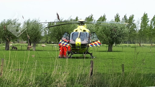 Kind gewond door aanval hond in Schijndel