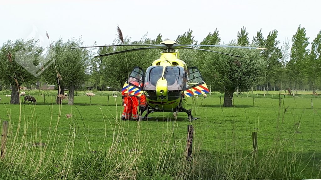 Kind gewond door aanval hond in Schijndel