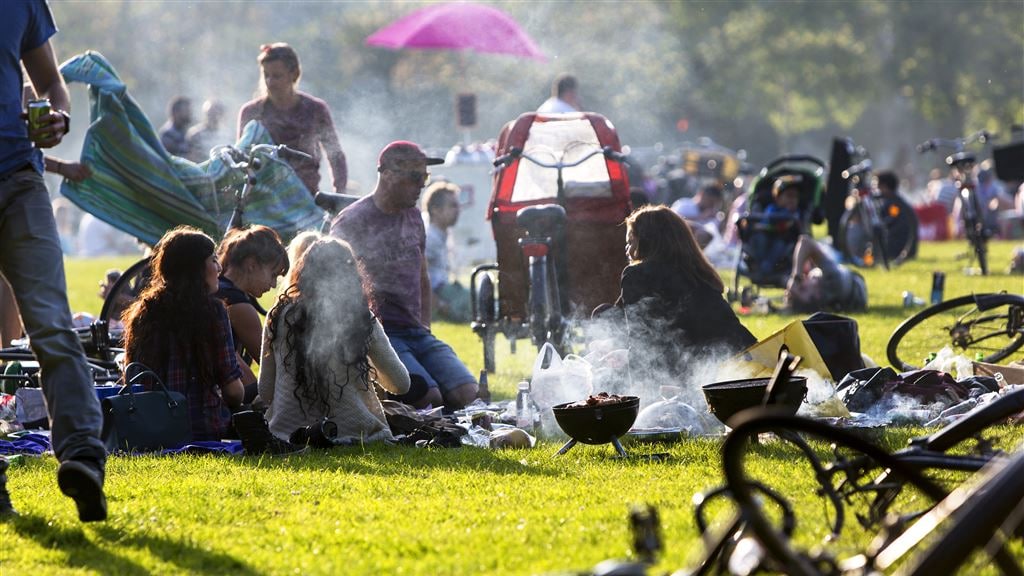 Waarom we die rommelmakers in het park niet aanspreken: 'Het is tegennatuurlijk'