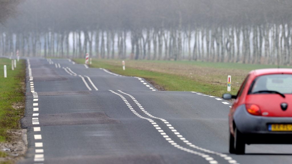 Petitie tegen massale bomenkap N-wegen: 'Die bomen hebben niets misdaan'
