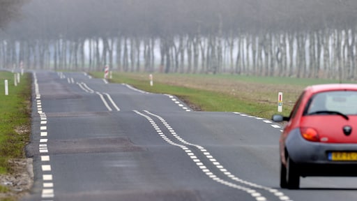 Petitie tegen massale bomenkap N-wegen: 'Die bomen hebben niets misdaan'