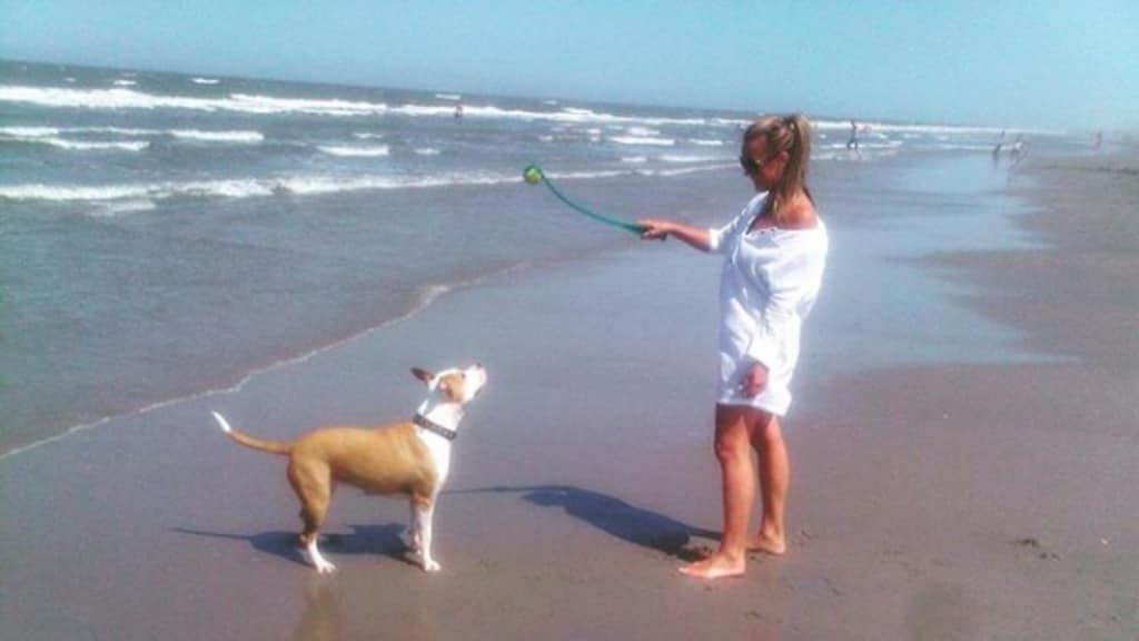 Monique rouwt om verlies Dunya