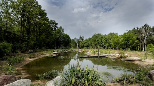 Dit zijn de eerste zes bewoners van Utopia 2