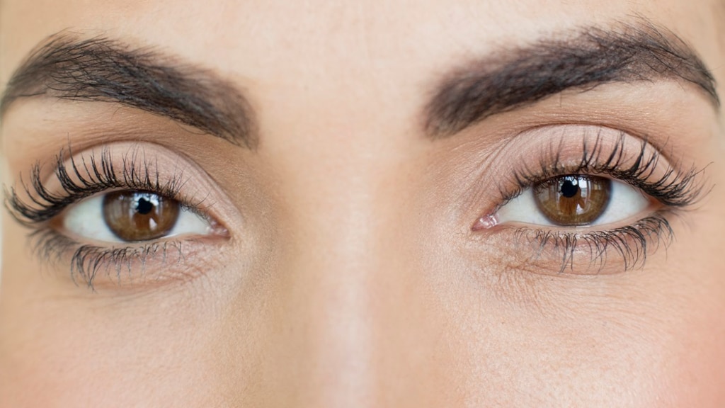 Een narcist herken je aan zijn wenkbrauwen