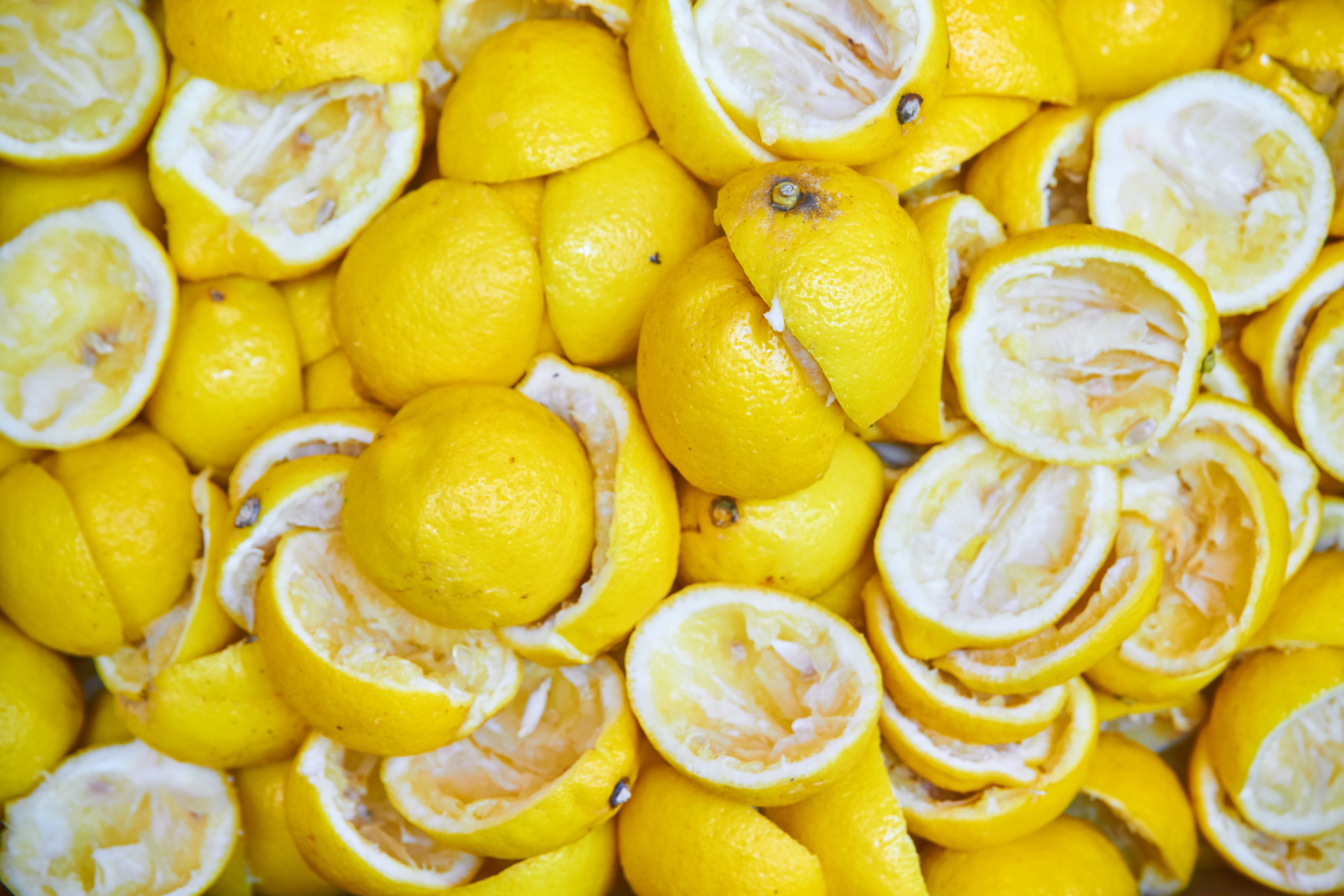 Growing Ideas – Schoonmaken met je eigen afval