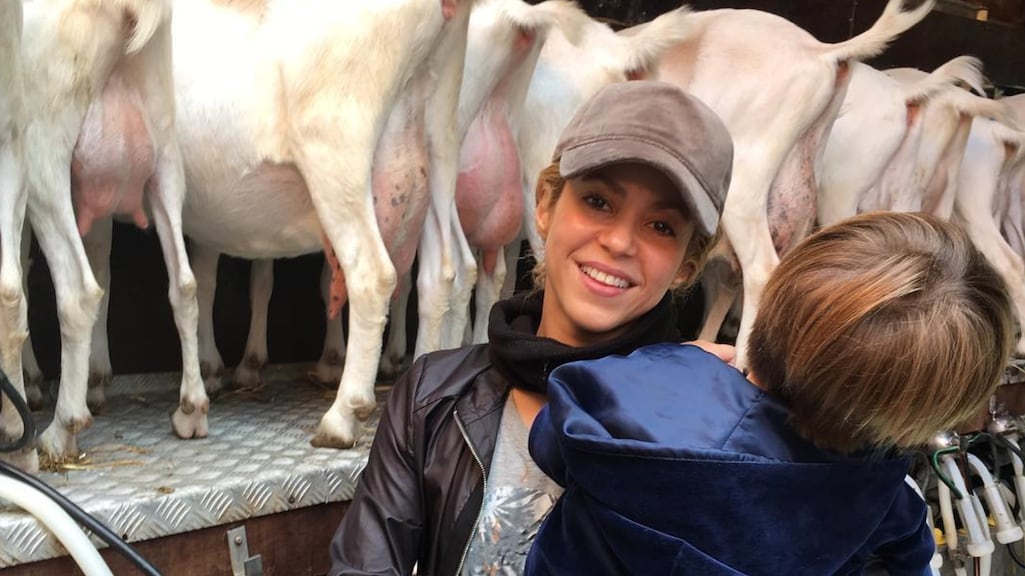 Shakira ging met kinderen geitjes melken in Amsterdam