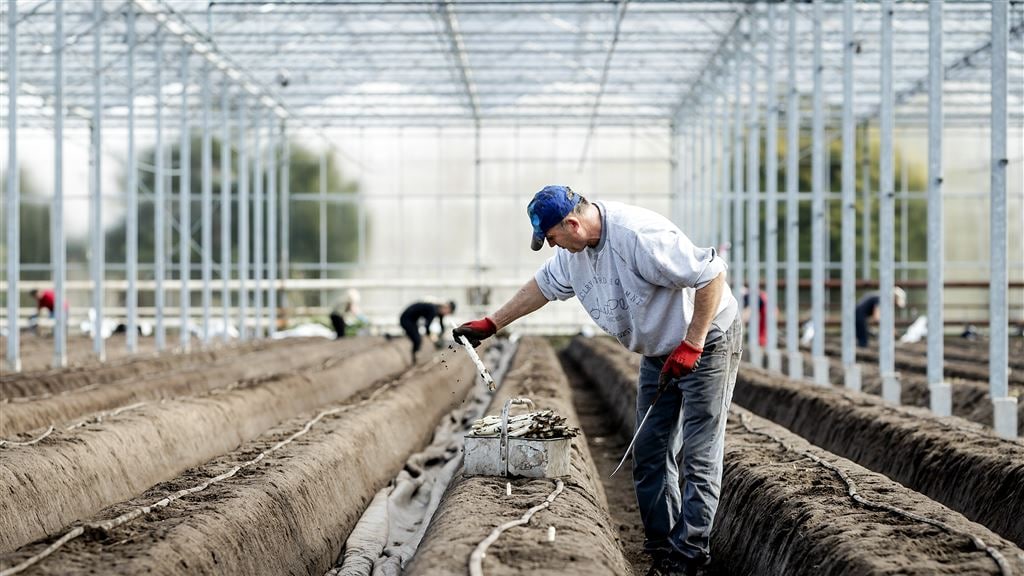 Nederland kan niet zonder arbeidsmigranten, vraag blijft toenemen