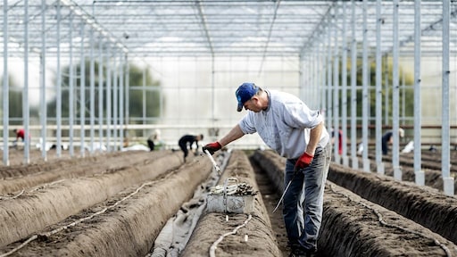 Nederland kan niet zonder arbeidsmigranten, vraag blijft toenemen