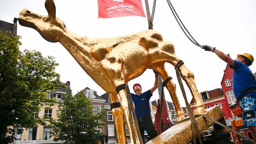 Gouden Kalf-winnaar na 20 jaar naar Marokko