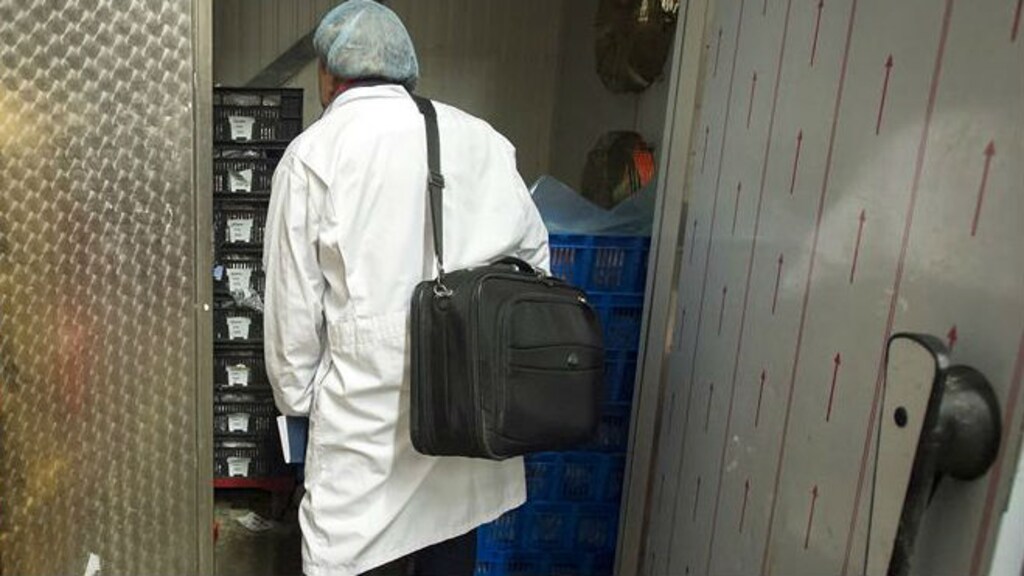 'Absolute horror': Kamer geschokt door misstanden bij slachthuizen