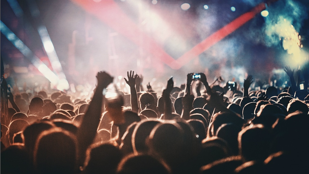 Ook beleggers kunnen scoren met muziekrechten van sterren