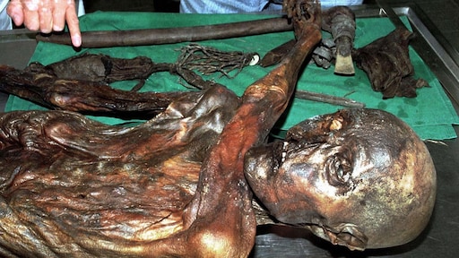 Ötzi de IJsman at alpensteenbok en adelaarsvaren