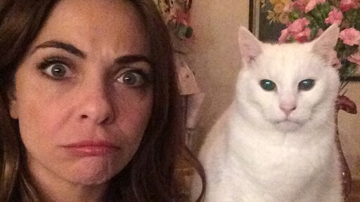 Dit zijn de populairste kattennamen van Nederland