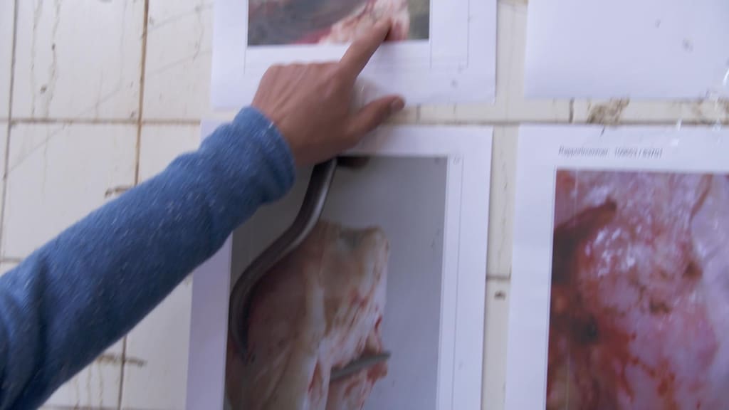 Slachter: 'Het vlees dat in de supermarkt ligt, vertrouw ik niet'