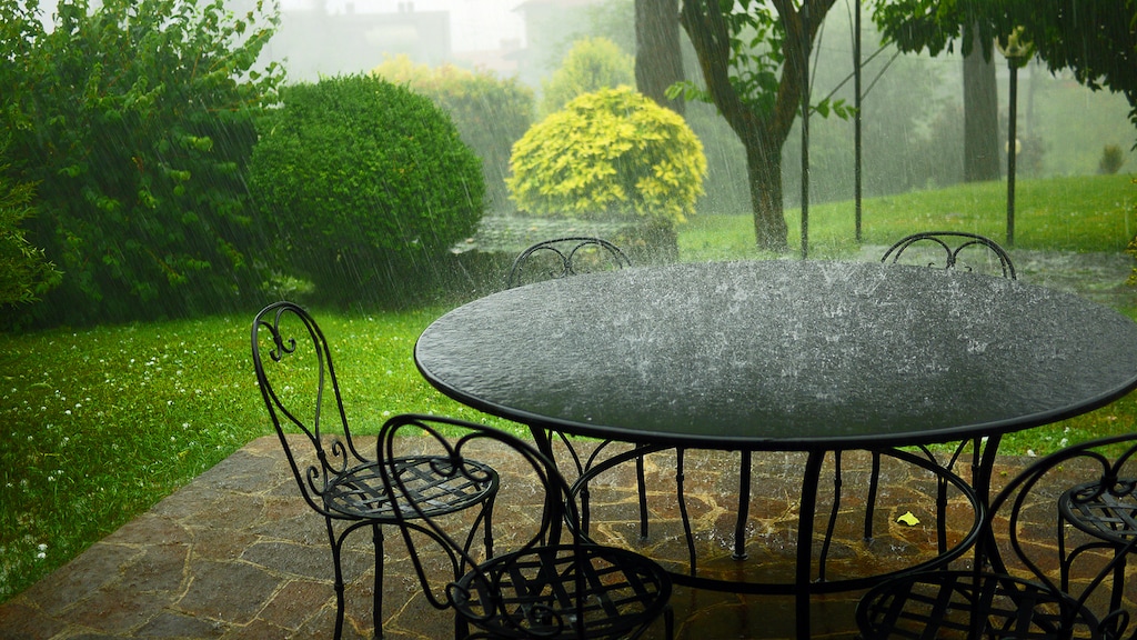 Laat je tuin profiteren van de regen: 'Maak dakgoten schoon en laat onkruid staan'