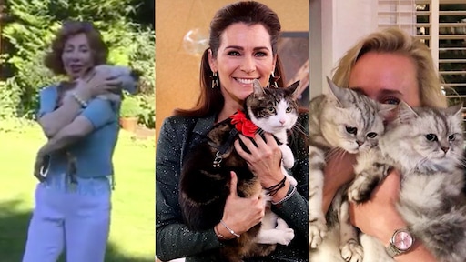 De kittigste kiekjes van de sterren en hun pluizenbolletjes