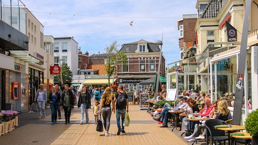 Van Texel tot Breda: steeds meer gemeenten nemen maatregelen tegen Airbnb-overlast