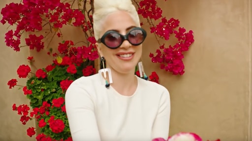 Lady Gaga ziet duet met Stevie Wonder wel zitten