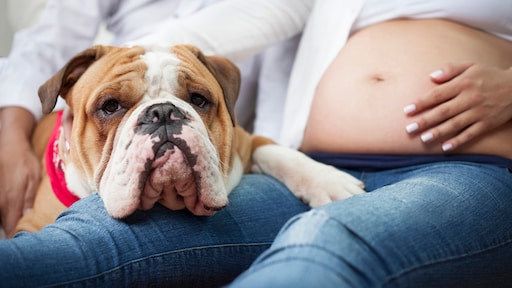 Zwangere vrouwen twijfelen over coronavaccin: 'Risico voor mijn baby onbekend'