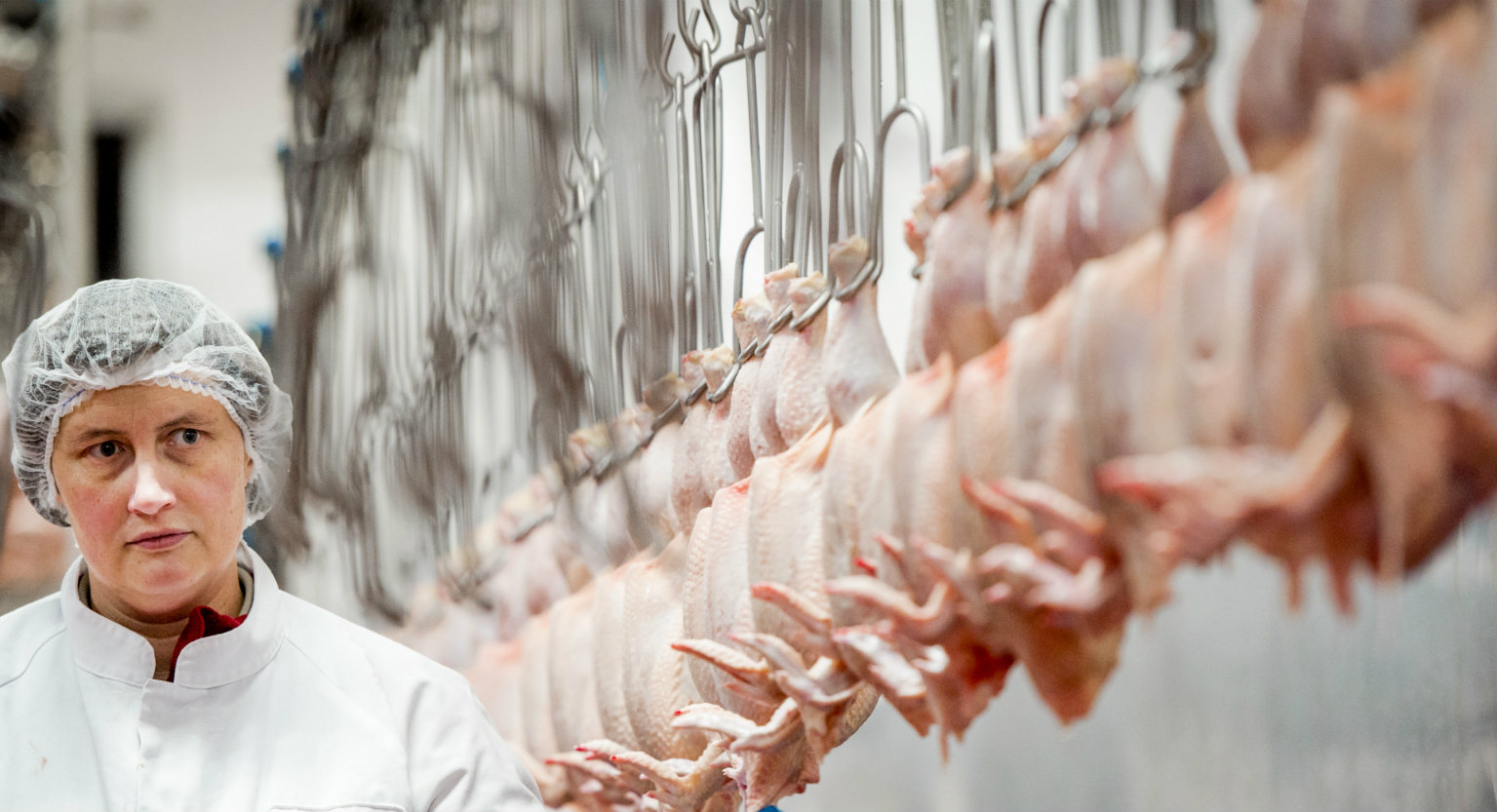 Slachthuizen pluimvee voortaan bij naam genoemd in rapportages NVWA