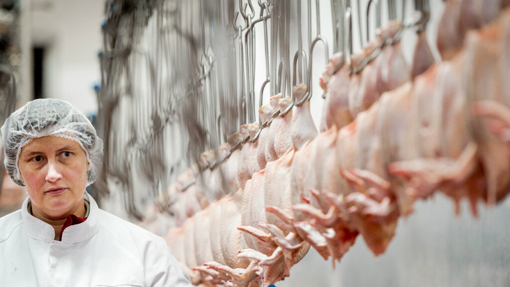 Slachthuizen pluimvee voortaan bij naam genoemd in rapportages NVWA