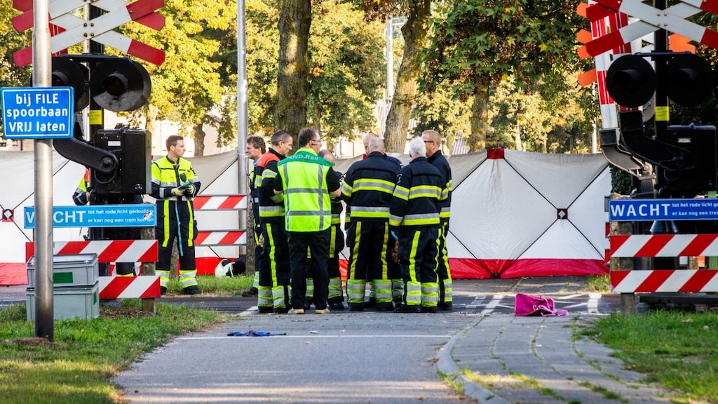 Heeft straling bij het spoor invloed op stint? Onderzoek start