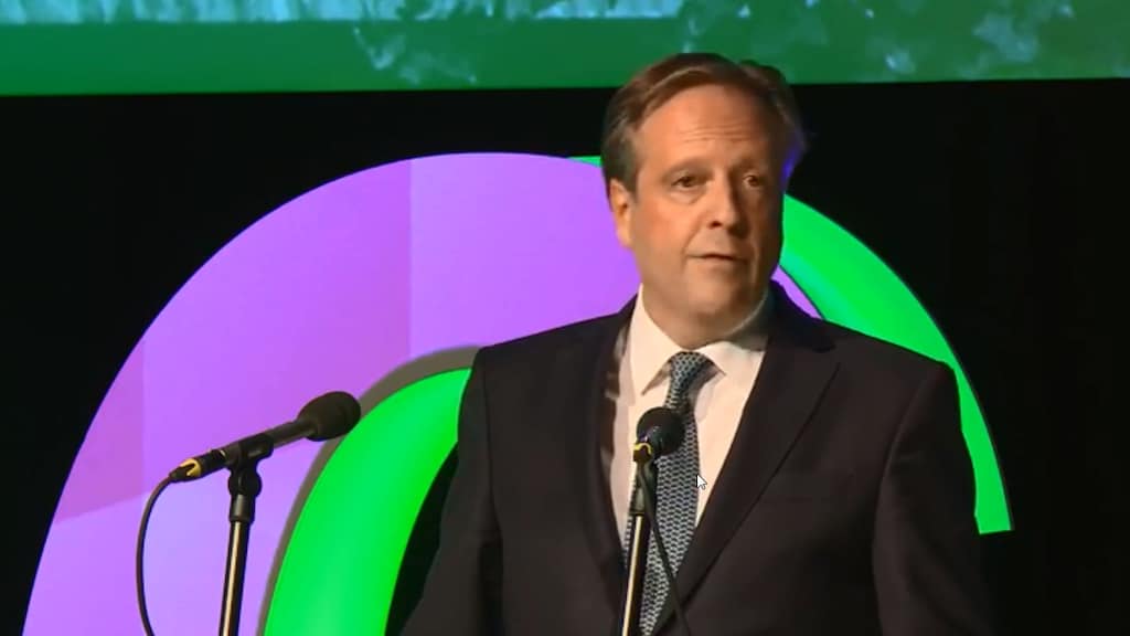 Alexander Pechtold stopt als partijleider van D66