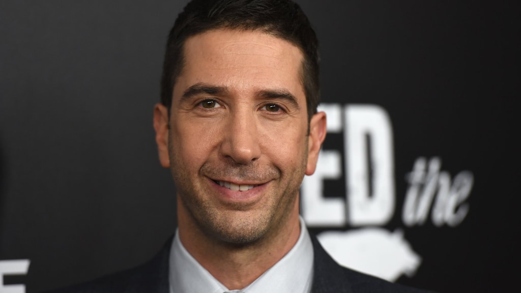 Friends-ster David Schwimmer ontkent betrokkenheid bij diefstal
