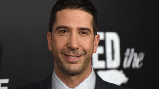 David Schwimmer kon themasong Friends een tijd lang niet meer horen