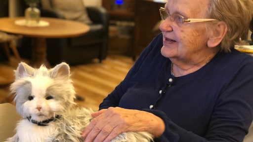 Robotpoes helpt ouderen met dementie: 'Ze vertellen ineens hele verhalen'