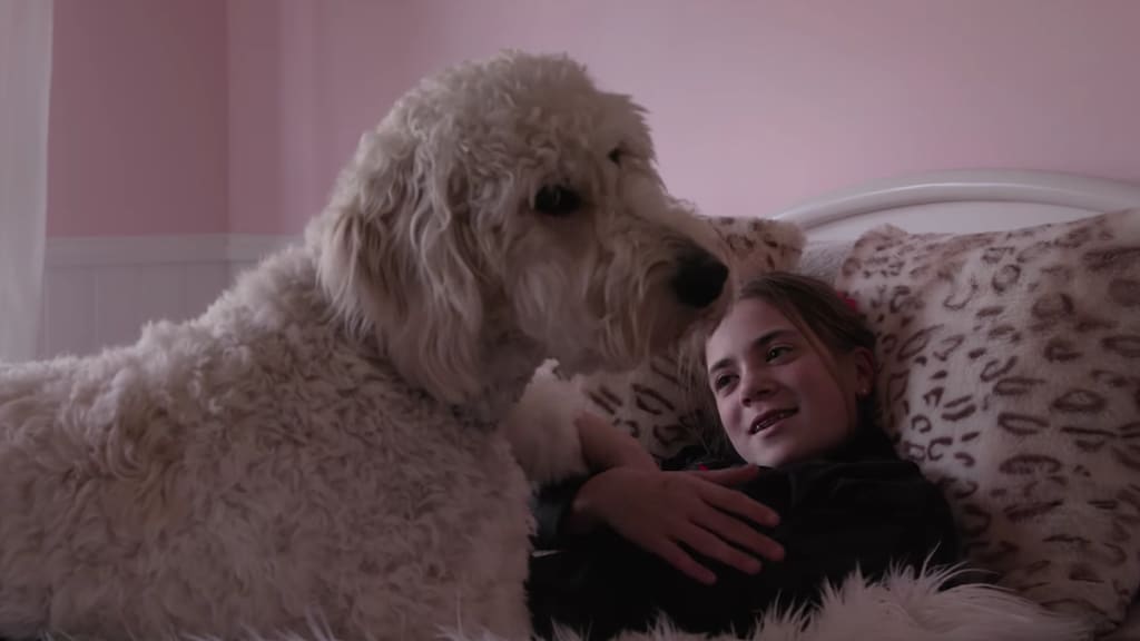 Woef! Netflix komt met een fluffy dog-umentary