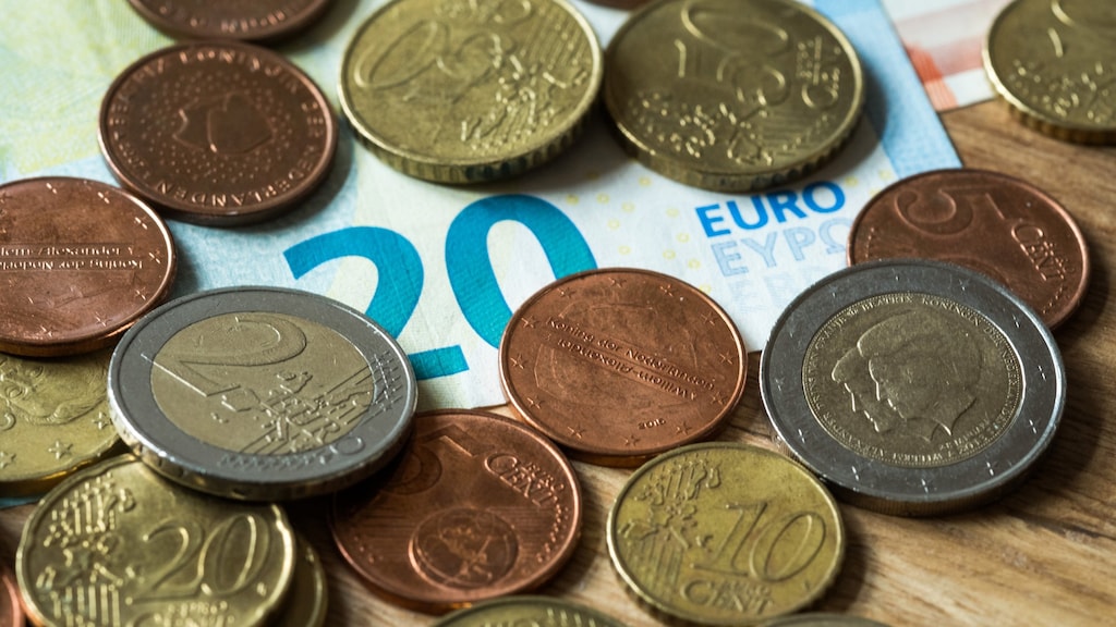 Lockdown halveert inkomsten reisbranche, bouwmarkten en tuincentra profiteren