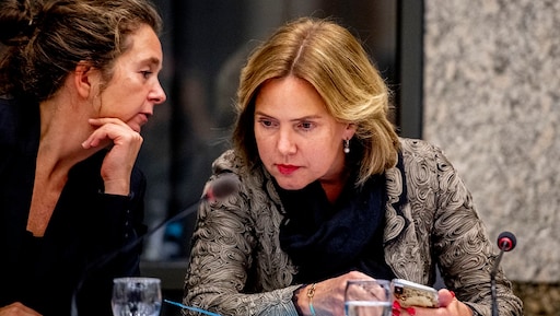 Minister wist dat stint nooit weg op mocht, fouten bij keuring verzwegen