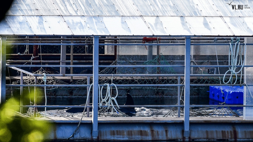 Maria filmde stiekem Russische 'orka-gevangenis': 'Het wordt zwaarbeveiligd'