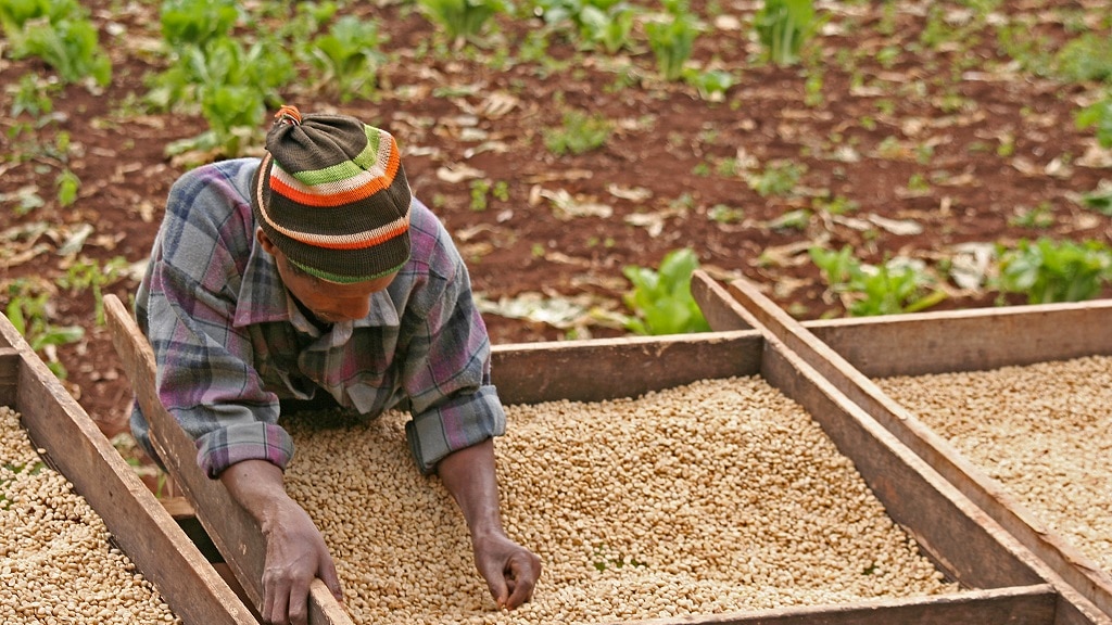 Vandaag live: IDH Congres over duurzame kleding, eten en arme boeren