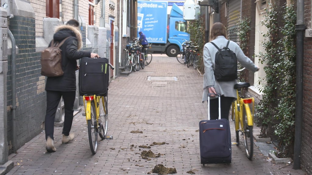 Amsterdam pakt Airbnb nog harder aan, licht toeristen van bed