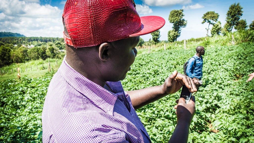 Afrikaanse boeren met ‘blockchainrekening’