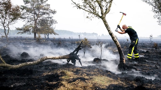 Reacties op alarmerend klimaatrapport: 'Elke seconde telt'
