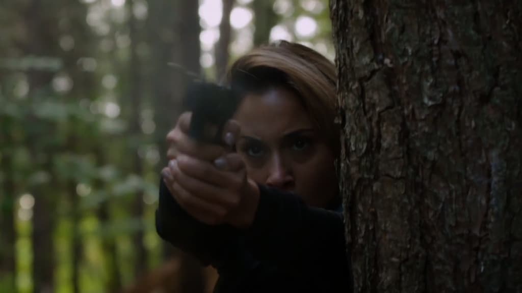 Aysen gaat op onderzoek