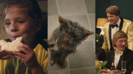 Dit zijn de finalisten van de Ster Gouden Loeki