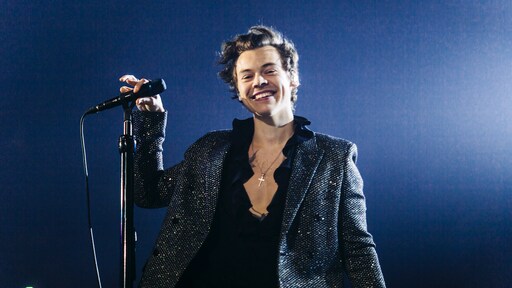 'Harry Styles weer gevallen voor de charmes van een model'