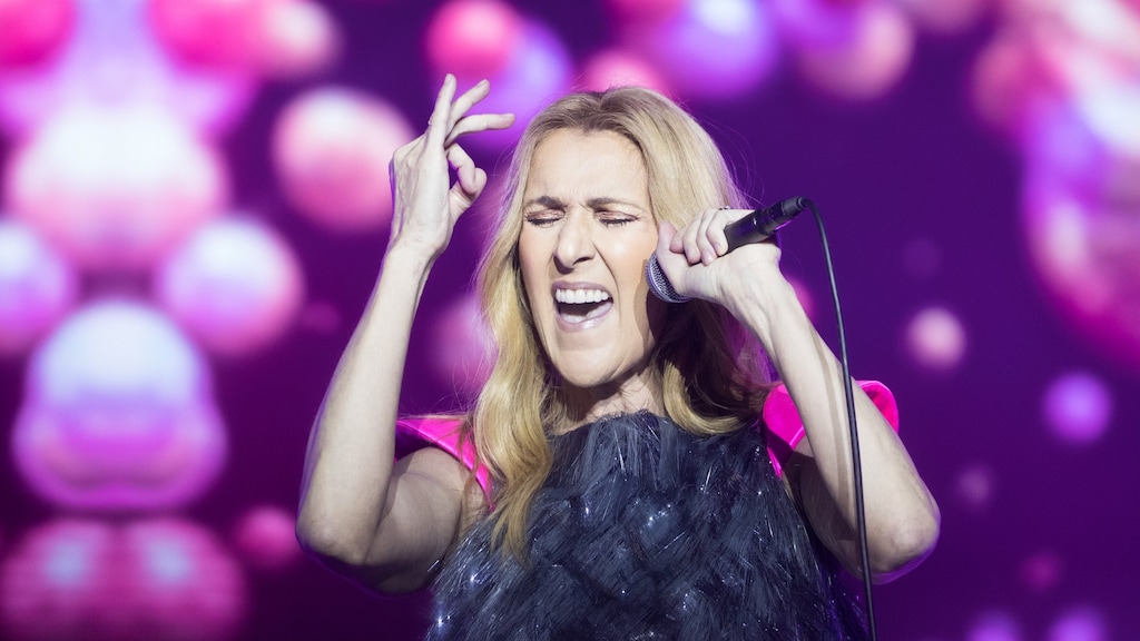 Fan bestormt podium tijdens concert Céline Dion