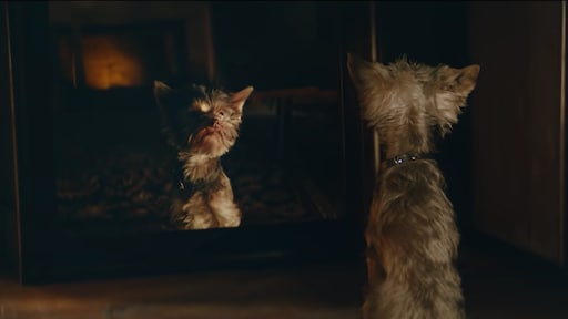 'Frekkel' winnaar Gouden Loeki 2018