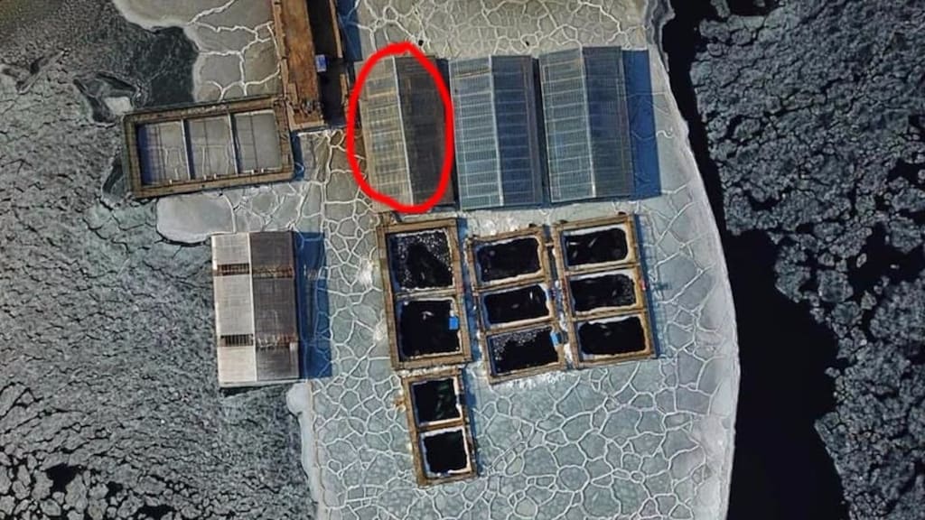 Het bassin waaruit de orka ontsnapt zou zijn wordt goed beveiligd door meerdere hekken.