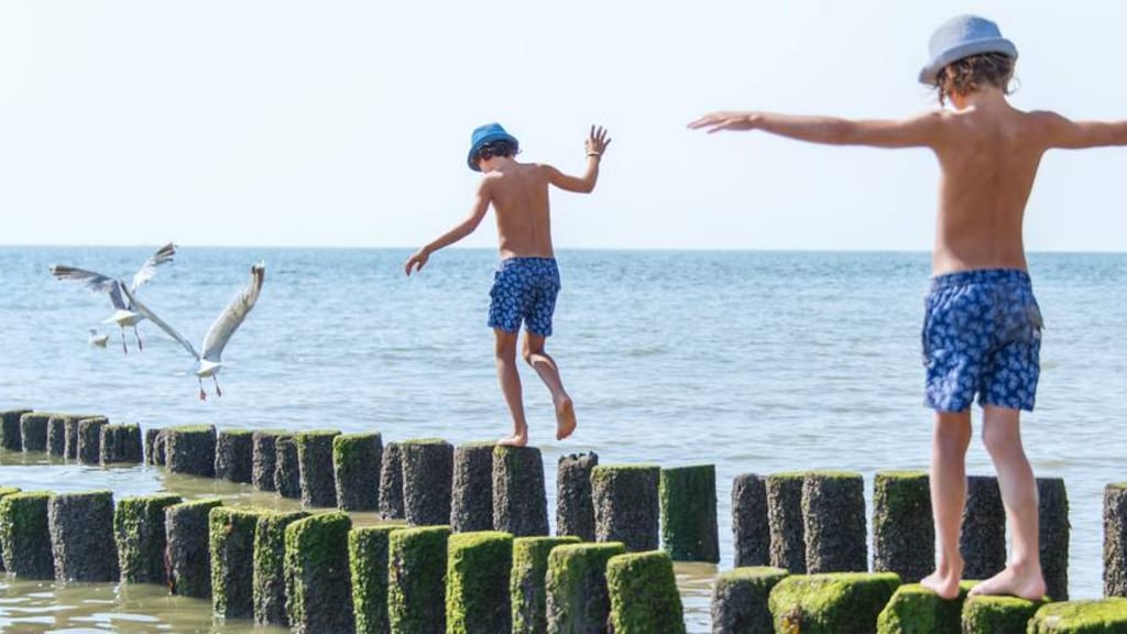 Meeuwenverschrikker verjaagt voor 100 duizend euro meeuwen uit Vlissingen