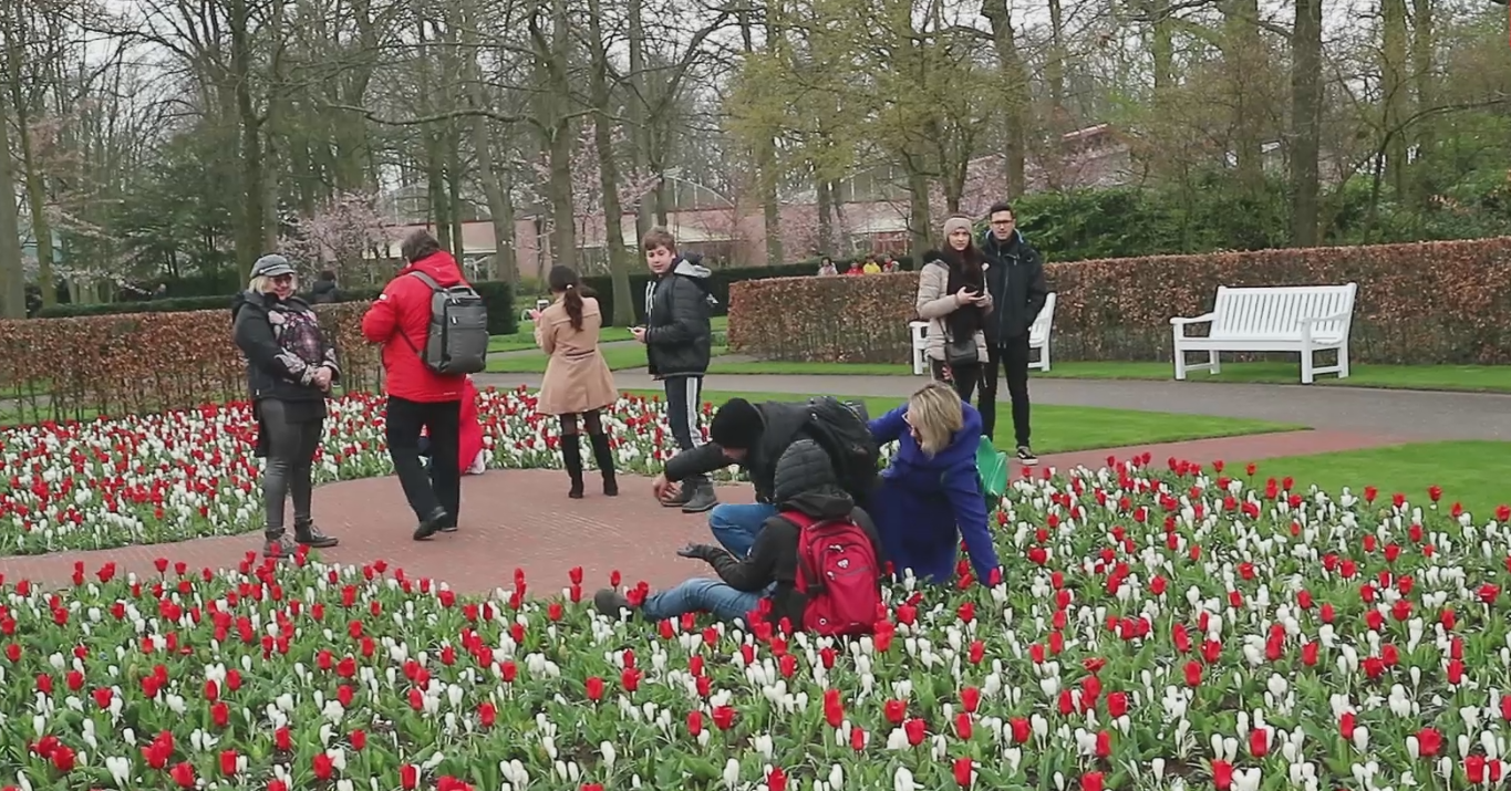 Keukenhof weer open: speciale selfie-plekken voor de Instagramtoerist