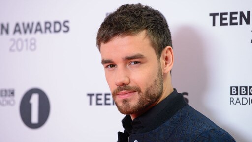Liam Payne 'gaat het officieel maken met Naomi Campbell'