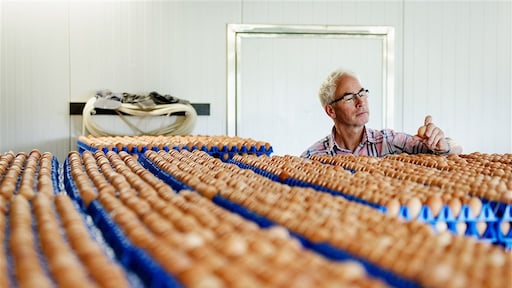 124 pluimveehouders naar rechter om fipronilschandaal