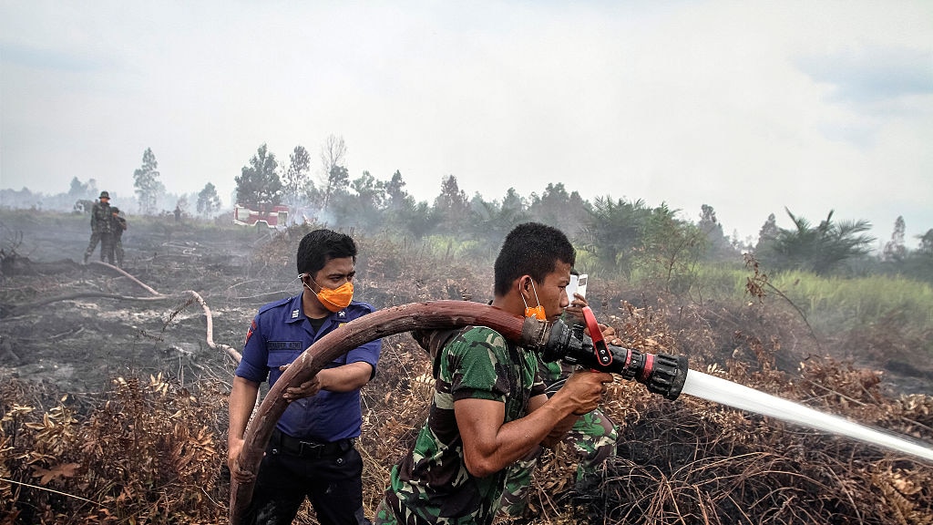 Shell plant nauwelijks bomen van je cent CO2-compensatie aan de pomp